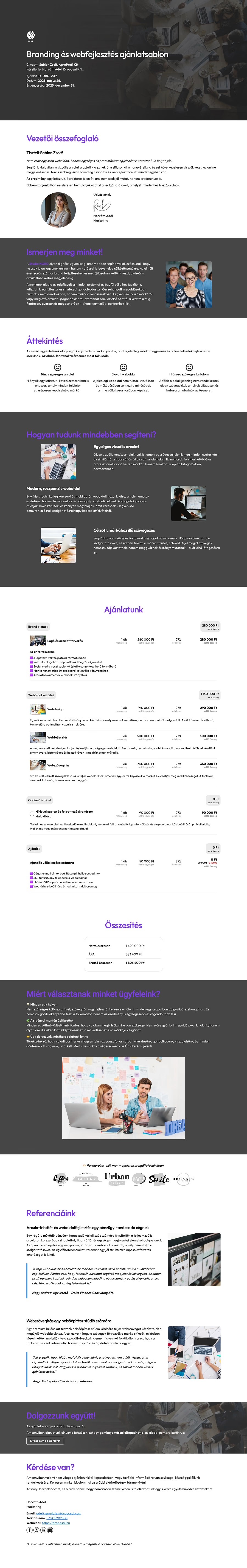 Branding és webfejlesztés ajánlatsablon