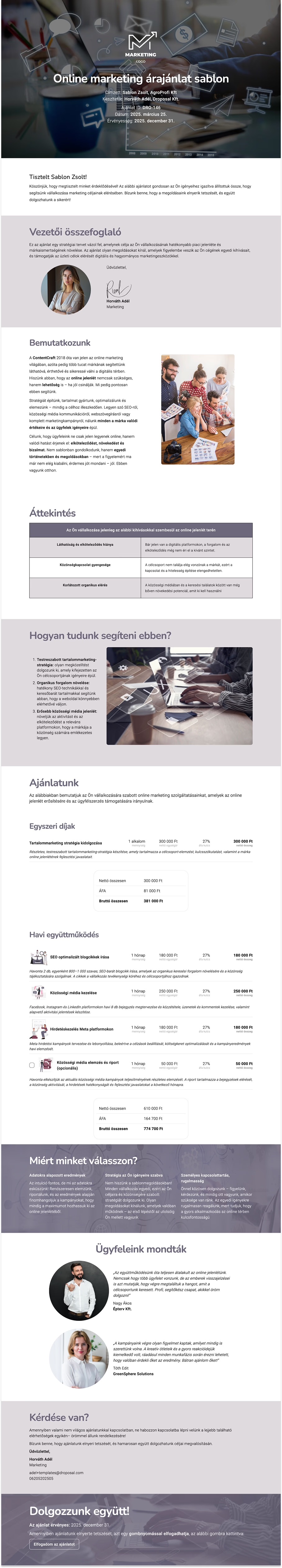 Online marketing árajánlat sablon